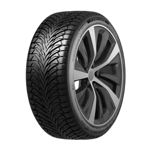 175/60 R16 FORTUNE FitClime FSR-401 82H  (D,B,71)