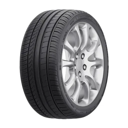 215/50 R17 FORTUNE FSR-701 95W  (C,C,72)