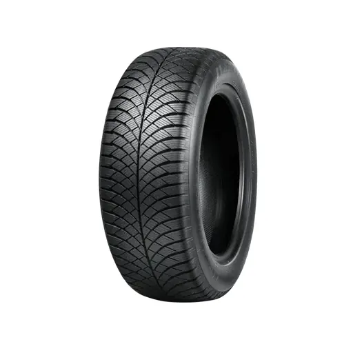 225/55 R19 NANKANG AW-6  103W  (B,B,72)