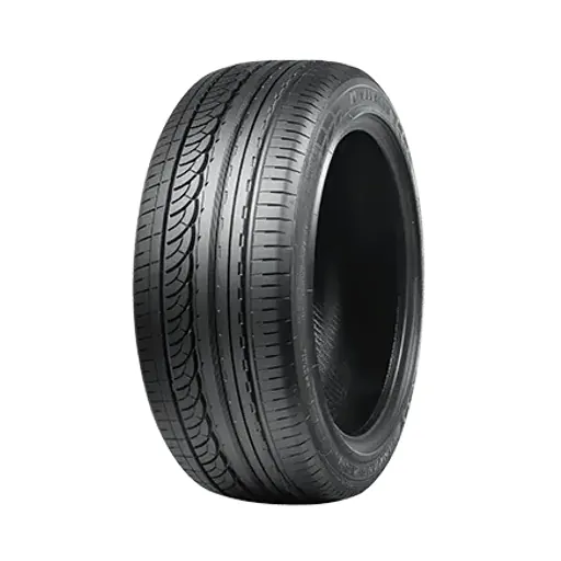 255/30 R21 NANKANG AS-1 93Y  (D,C,73)