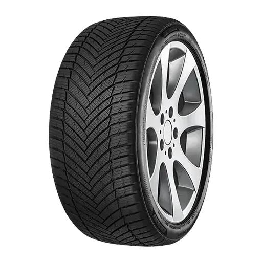 205/55 R19 TRISTAR ALLSEASON POWER 97W  (C,B,71)